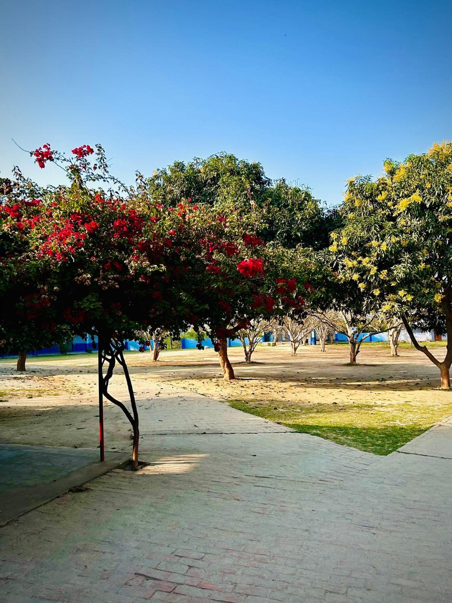 Gooseberry Garden Villa Ayodhya Exterior photo