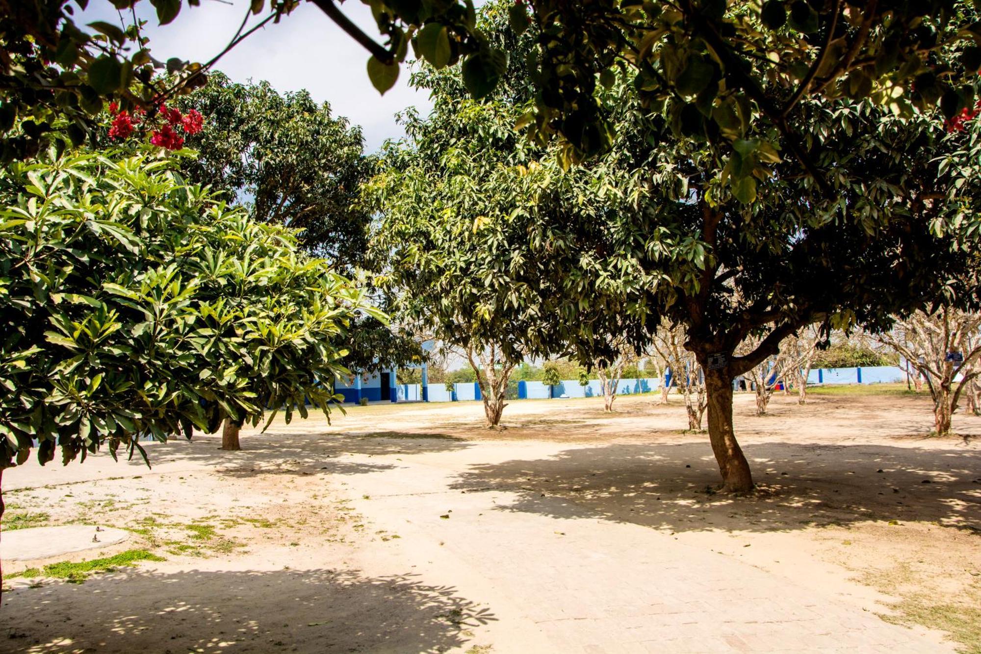 Gooseberry Garden Villa Ayodhya Exterior photo